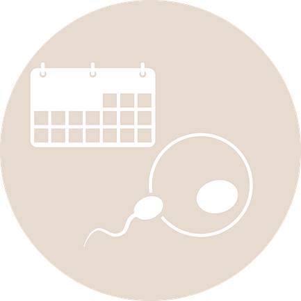 Trying to conceive a baby newsletter choice